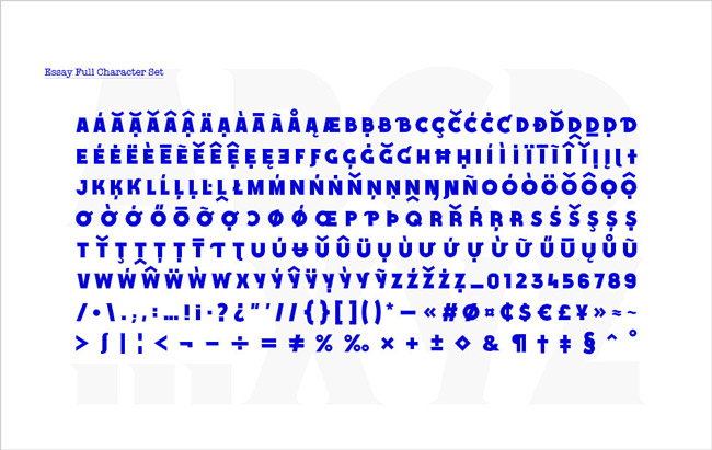 Essay font